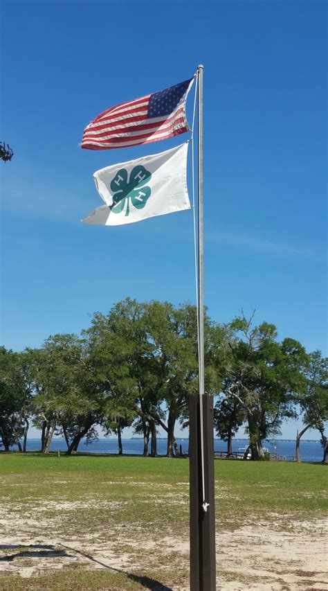 Camp Timpoochee Flags | Living Well in the Panhandle