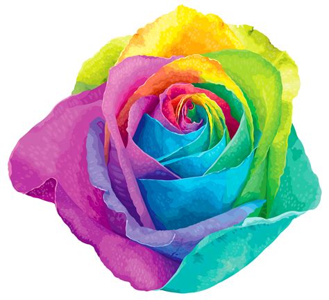 Rainbow rose clipart 20 free Cliparts | Download images on Clipground 2024