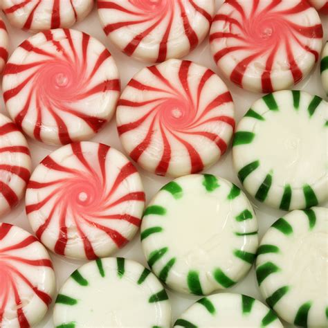 Crafter's Choice™ Peppermint Candy Fragrance Oil 200 - Crafter's Choice