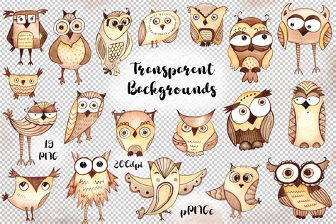 Watercolor funny owls ClipArt,Watercolour Owl clip art, cute Owl By ...