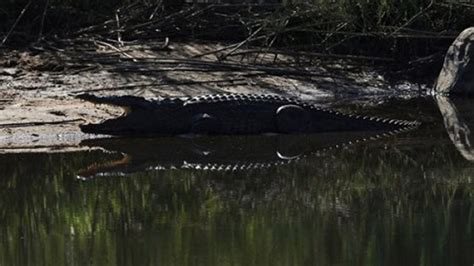 South African Kayaker Presumed Dead After Crocodile Attack | Fox News