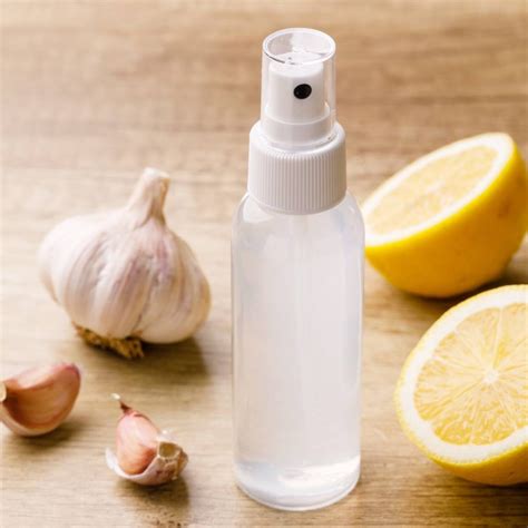 4-Ingredient Garlic Mosquito Spray (DIY Mosquito Repellent Recipe ...