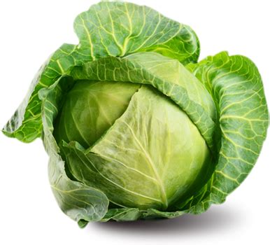 Cabbage Family Vegetable Transparent HQ PNG Download | FreePNGimg