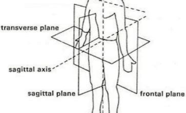 The Axis of Rotation - All American Sports Medicine - Sports Training AASM Online Education