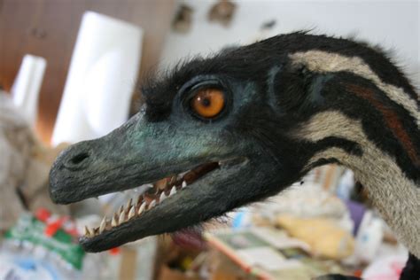 10 Facts About Velociraptors