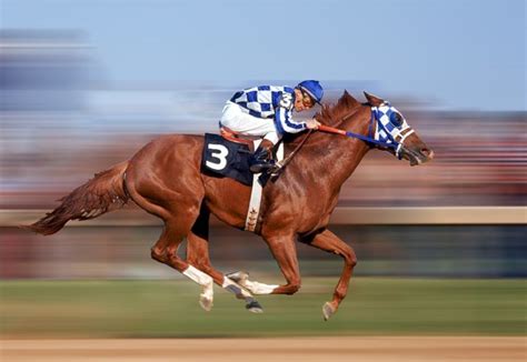 Secretariat Wallpapers - Wallpaper Cave