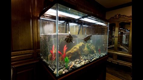 Red Eared Slider Turtle Tank - Aquarium Blog