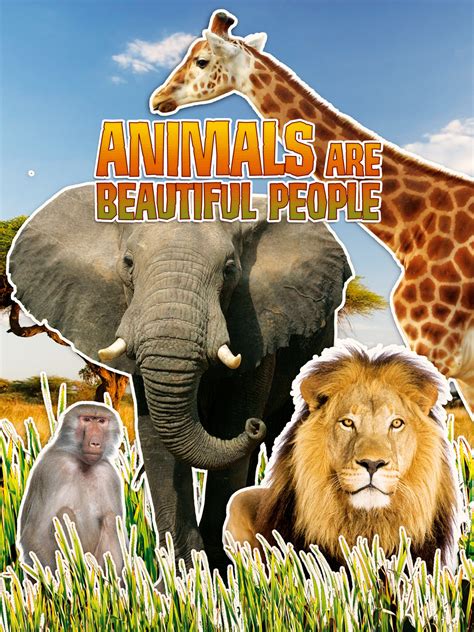 Prime Video: Animals are Beautiful People