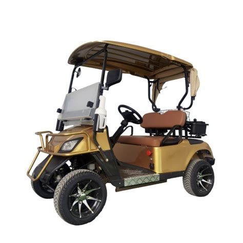 2 Seater Mini Electric Golf Carts with Lead Acid and Lithium Battery - China Golf Cart and ...