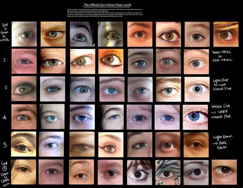 Human Eye Color Chart Hazel Images & Pictures - Becuo