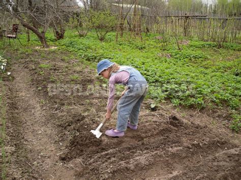 Why I Return To the Old Methods Of Tillage - Best Landscape Ideas