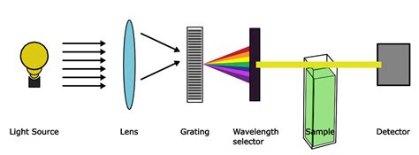 UV-Vis Spectroscopy: Principle, Instrumentation, and Applications ...