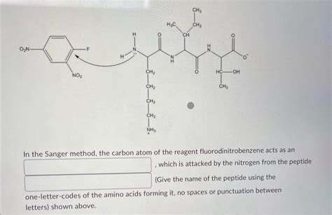 Solved In the Sanger method, the carbon atom of the reagent | Chegg.com