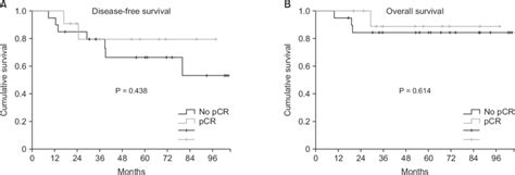 Survival plotted by chemotherapy response: (A) disease­free survival ...