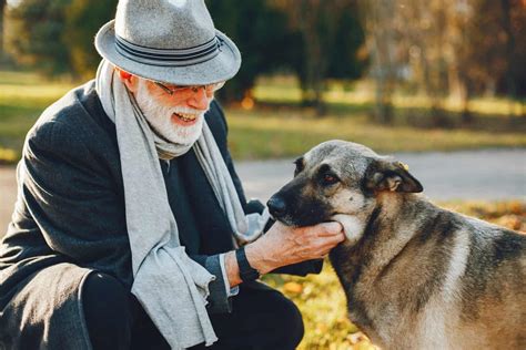 Senior dog care: Help your dog navigate the aging process