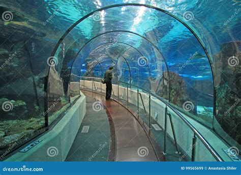 Transparent Tunnel in Barcelona Aquarium in Barcelona, Spain Editorial Stock Image - Image of ...