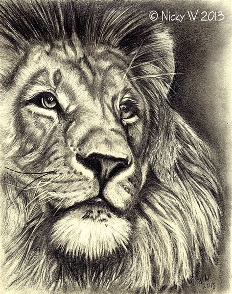 Graphite pencil sketch of a lion. | Pencil drawings, Zebra drawing, Realistic drawings