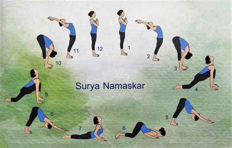 A 101 ON SUN SALUTATION OR THE SURYA NAMASKAR — Dragonfly Yoga Studio