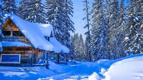 Cabin in Snowy Winter Forest Image - ID: 251208 - Image Abyss