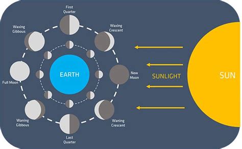 Understanding Moon Phases | The 8 Phases of the Moon in Order