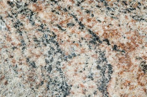 Gneiss - Stock Image - C005/9142 - Science Photo Library