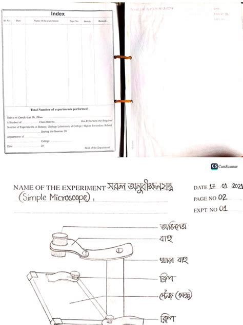 Botany Practical | PDF