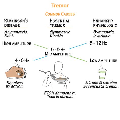 Neuroanatomy Glossary: Tremors | Draw It to Know It