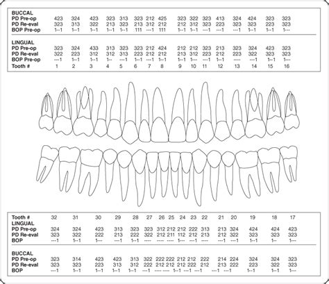 2 Nonsurgical Periodontal Therapy | Pocket Dentistry