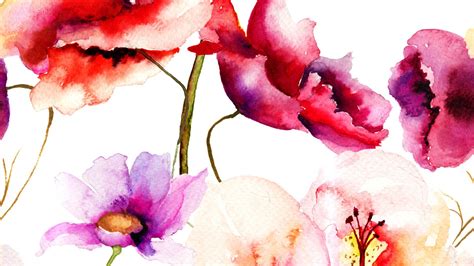 🔥 [40+] Watercolor Flowers Wallpapers | WallpaperSafari