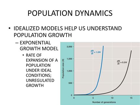 PPT - POPULATION DYNAMICS PowerPoint Presentation, free download - ID ...