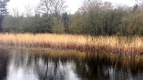 View of Castle Lake, Bailieborough, Co. Cavan. - YouTube