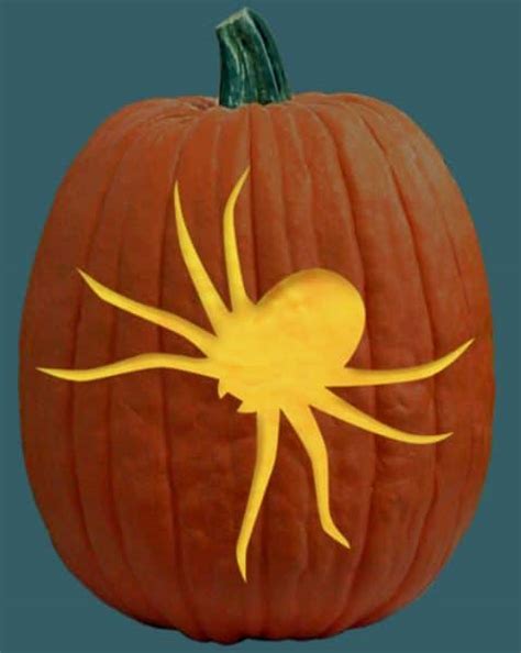 big-spider-pumpkin-carving | Entomo Farms