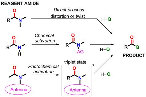 amide hydrolysis mechanism