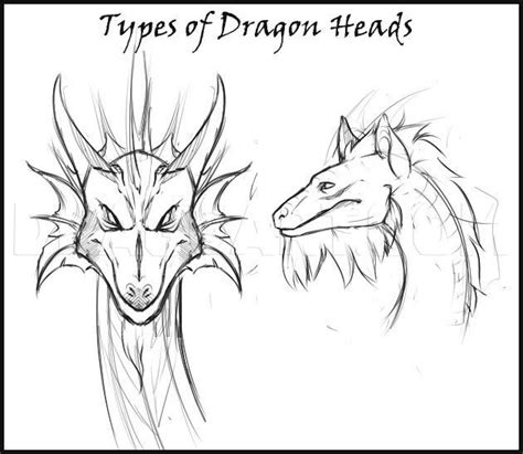 How To Draw A Dragon Head, Step by Step, Drawing Guide, by Dawn ...