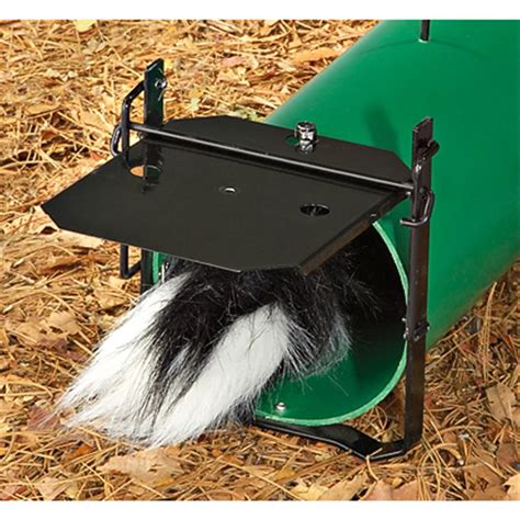 Spray - proof Skunk Trap - 175232, Traps & Trapping Supplies at Sportsman's Guide