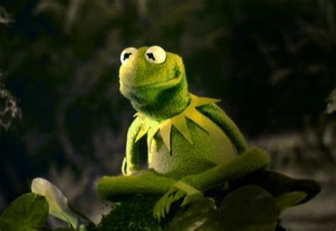 Kermit the Frog - Fictional Characters Wiki