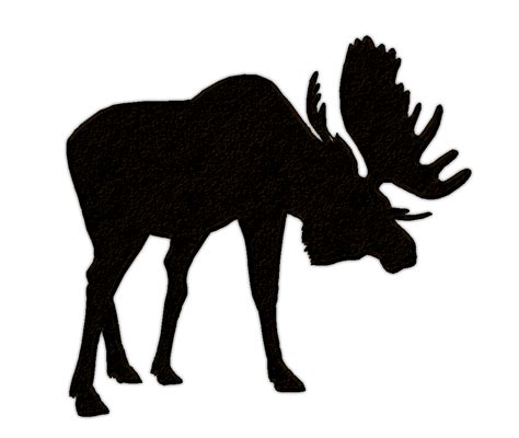 Free Moose Images Clipart, Download Free Moose Images Clipart png ...