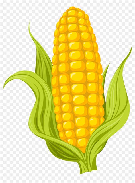 Sweet Corn Drawing Images ~ Corn Cartoon Drawing Maize Sweet Illustration Photography Clipart ...