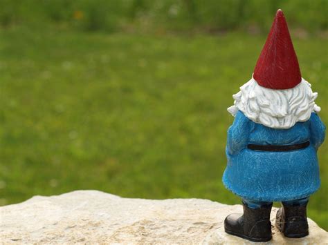 Garden Gnome Wallpapers - Top Free Garden Gnome Backgrounds - WallpaperAccess