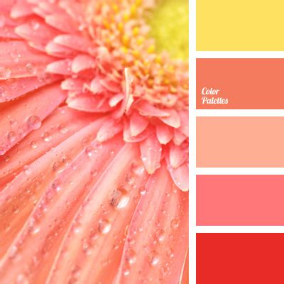 Color Palette #90 | Color Palette Ideas