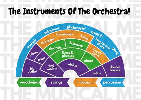 Orchestra Layout