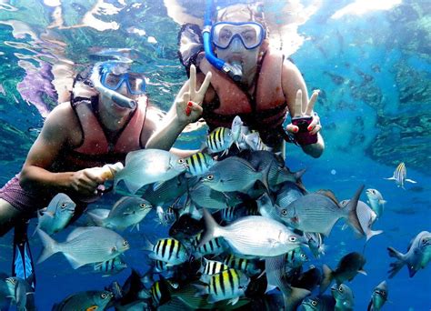 Snorkeling the Coral Beach and Saturn Cave. - Diving Varadero Cuba Varadiving | Varadero cuba ...