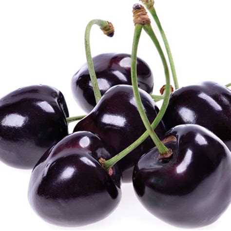 Black Pearl Cherry Tree - Among the largest and sweetest cherries! (2 ...