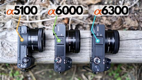 Viele gefährliche Situationen Pflege Preissenkung sony alpha 5100 vs ...