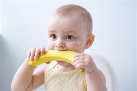 Funny Baby Girl Sitting in Child Chair Eating Banana on White Kitchen ...