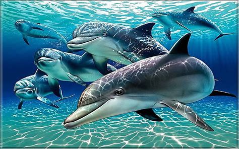 Dolphins Wallpaper For Pc, Tablet And Mobile Download 1920x1200 ...