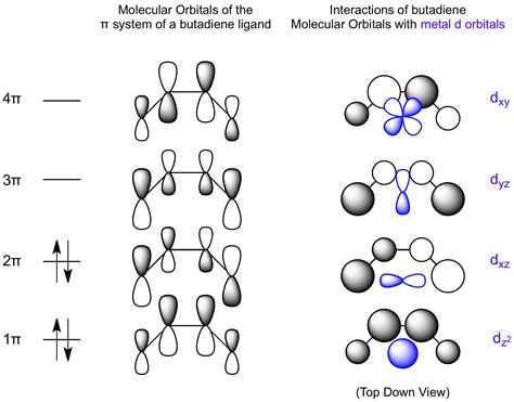 Interactions between Butadiene Molecular Orbitals and Metal d Orbitals