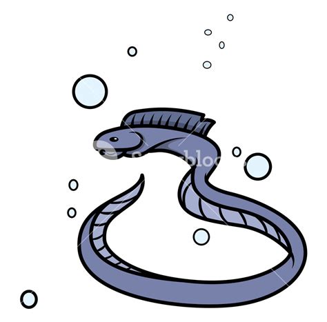 Eel Fish - Vector Cartoon Illustration Royalty-Free Stock Image - Storyblocks