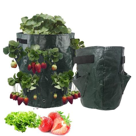 Strawberry Planting Grow Bag – NextGenGardening™