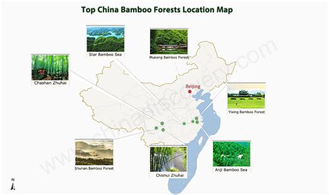 Bamboo Forest China Map